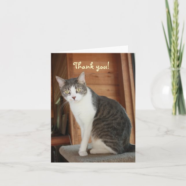 Customisable Thank You (Front)