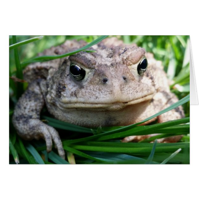 Customisable toad card (Front Horizontal)