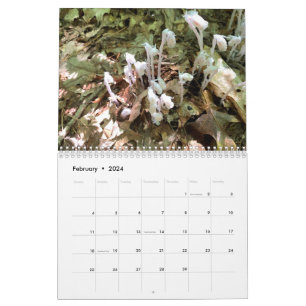 Customisable Two Page Medium Photo Calendar