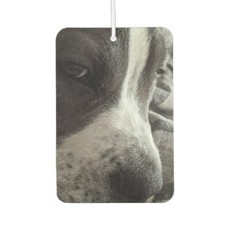 Customisable Two-Sided Photo Air Freshener