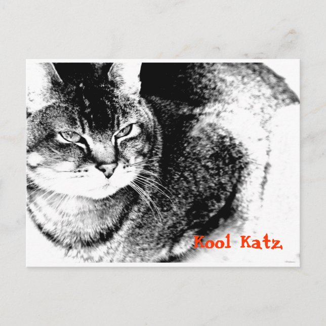 Customisable Vetinary Practice Reminder Postcard (Front)