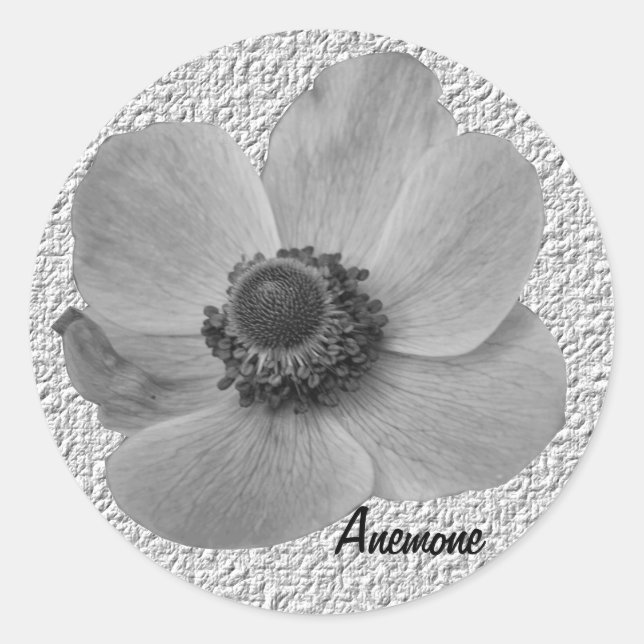 Customisable Vintage Anemone Sticker (Front)
