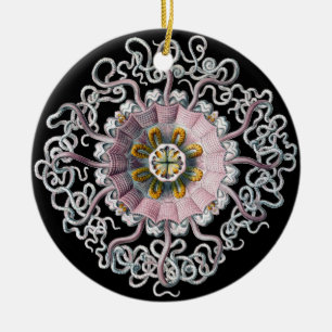 Customisable Vintage Haeckel Ceramic Tree Decoration