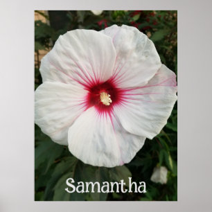 Customisable White Hibiscus with Hot Pink Centre Poster
