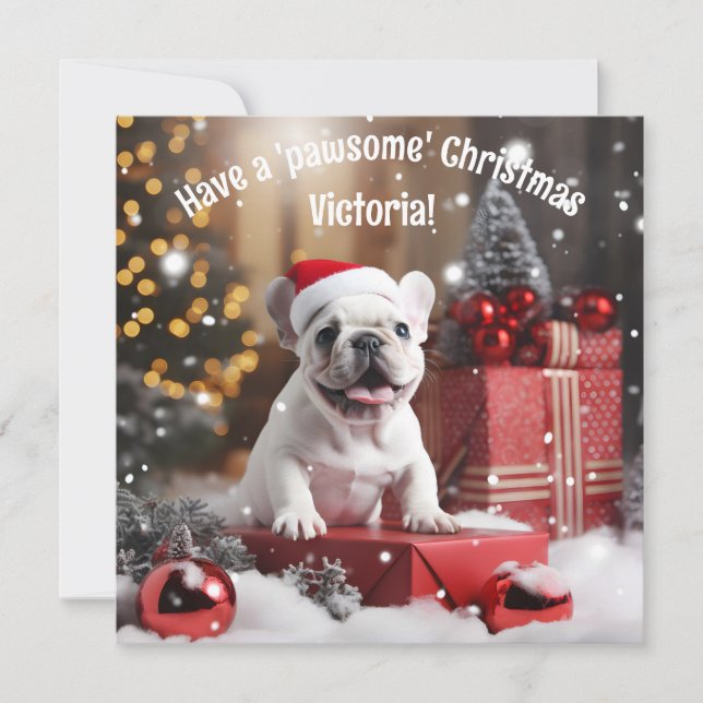  Customisable Winter Whiskers Wonderland (Front)