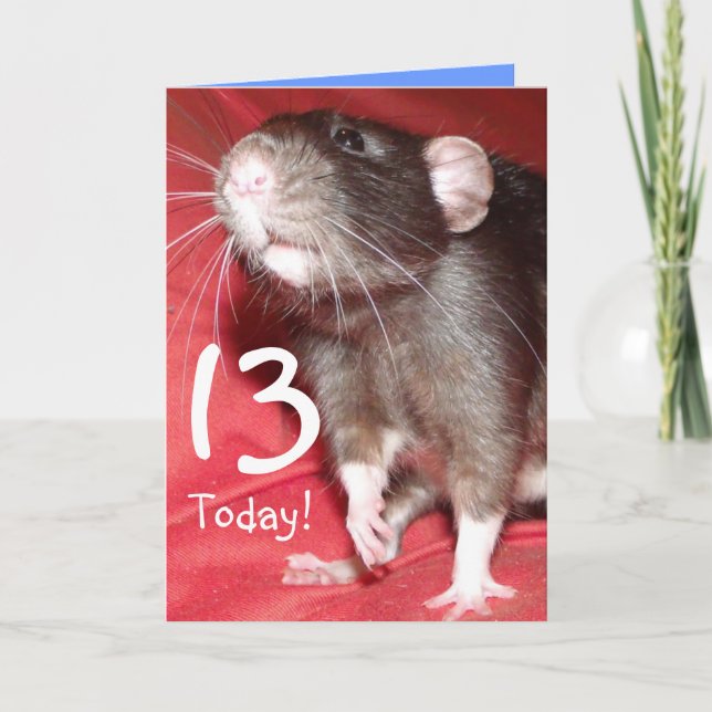 customisable year number Dumbo rat Birthday card (Front)