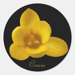 Customisable Yellow Crocus Sticker