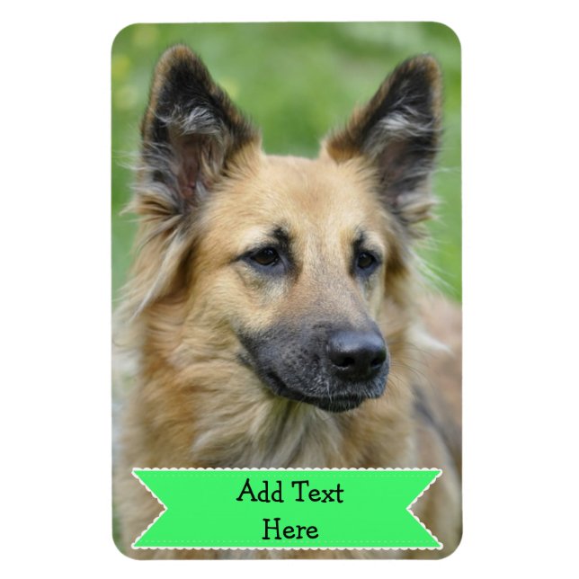 Customise a Family Pet Photo Magnet Add Text (Vertical)