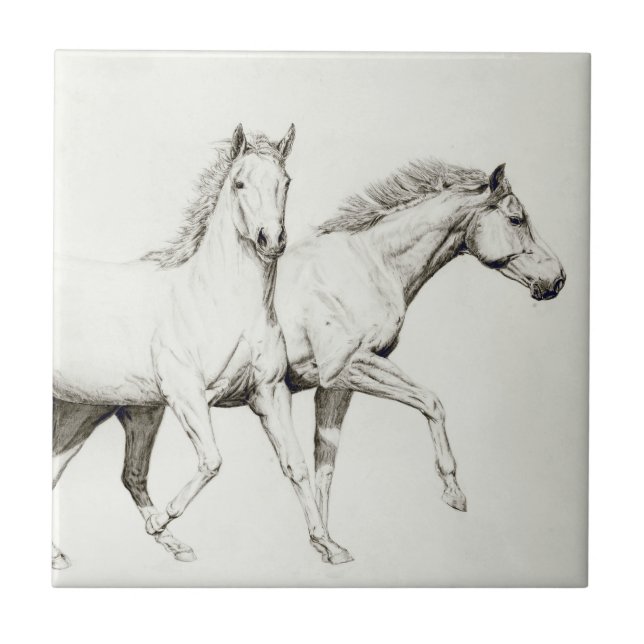 Customise a Horse Tile (Front)