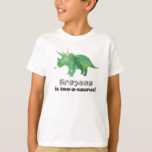 Customise-able Dinosaur Birthday T-Shirt Any Age