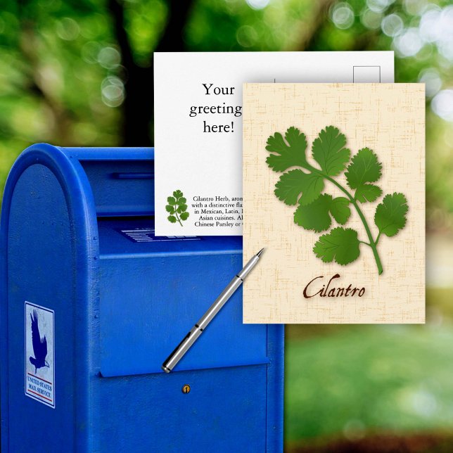 Customise Cilantro Herb Postcard (Customize Cilantro Herb Postcard, aromatic leaves with a distinctive flavor.)