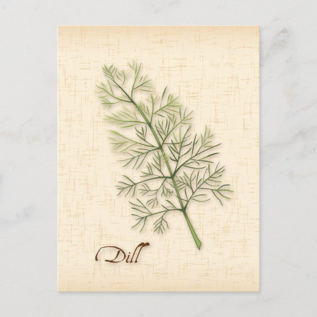 Customise Dill Herb Postcard (Front)