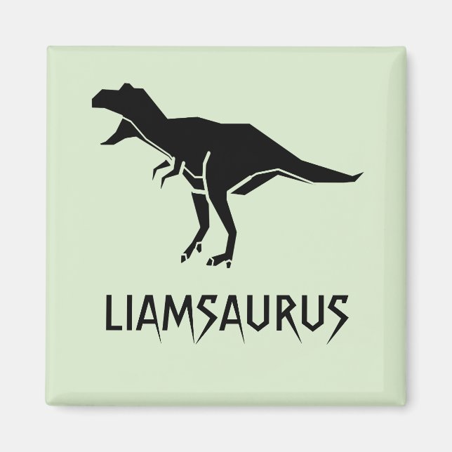 Customise Dinosaur Name Personalise Magnet (Front)