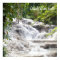 Customise Dunn’s River Falls photo