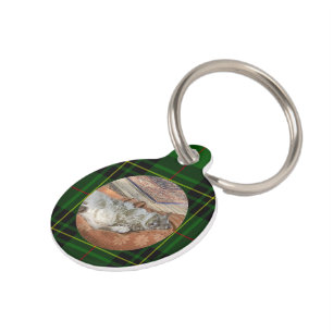 Customise Forbes Tartan Green Cat Pet Tag