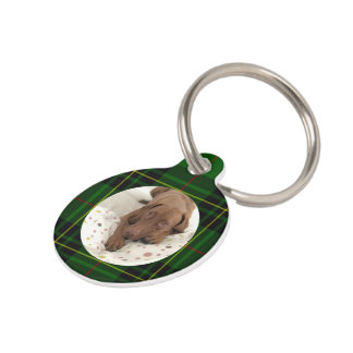 Customise Forbes Tartan Green Dog Pet Tag