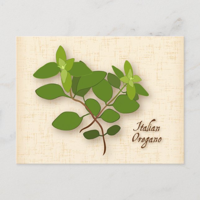 Customise Italian Oregano Postcard (Front)
