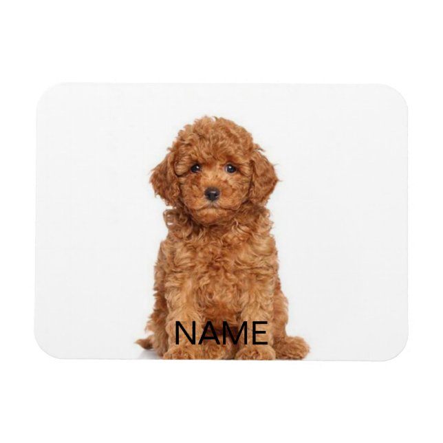Customise personalise with photo & name magnet (Horizontal)