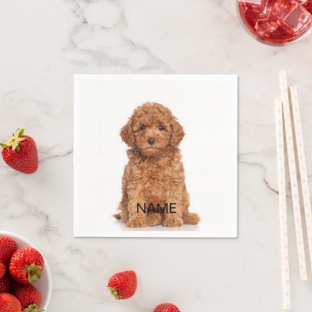 Customise, personalise with photo, name, text napkin (Insitu)