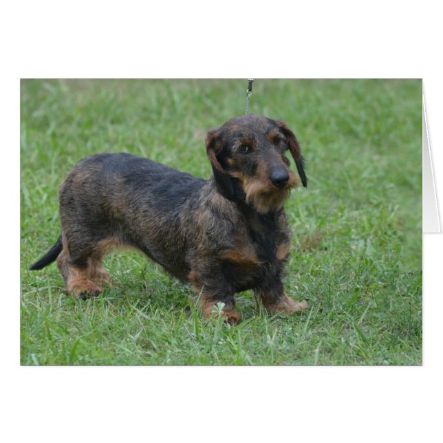 Customise Product (Front Horizontal)