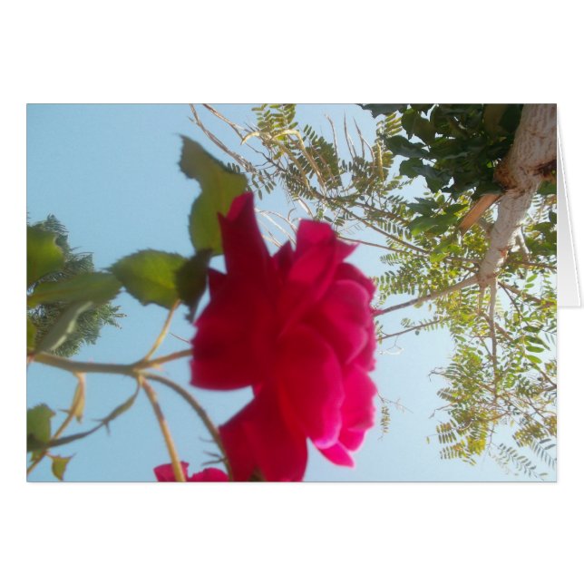 Customise Product (Front Horizontal)