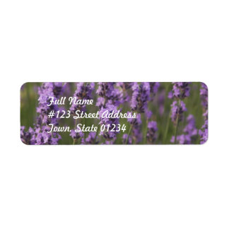 Customise Product