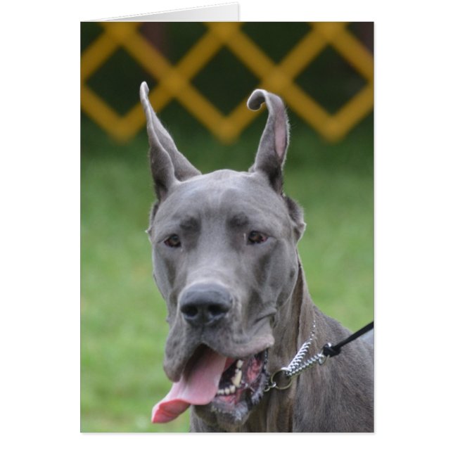 Customise Product (Front)