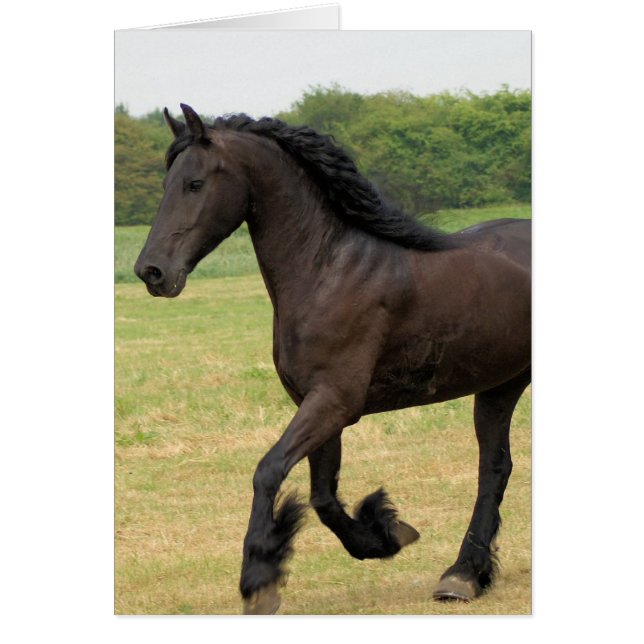 Customise Product (Front)