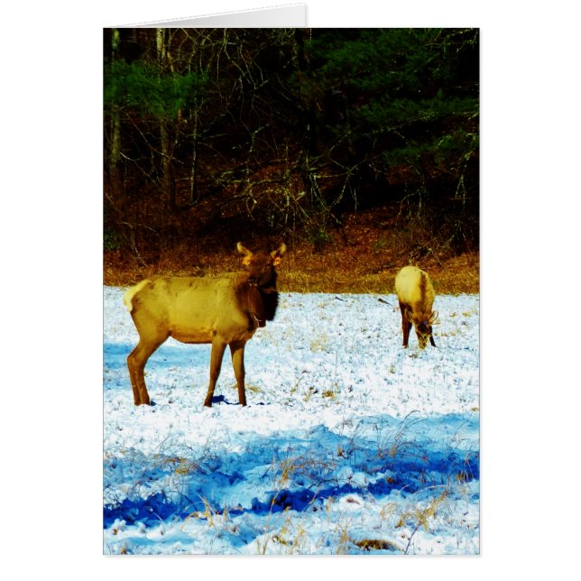 Customise Product (Front)