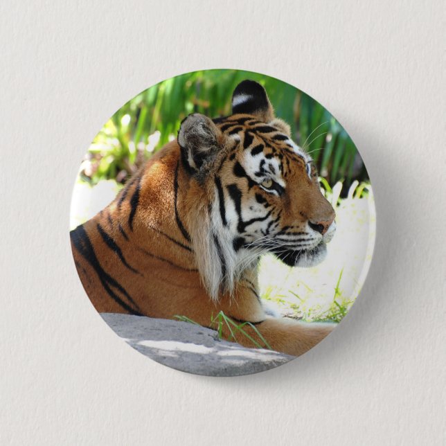 Customise Product 6 Cm Round Badge (Front)