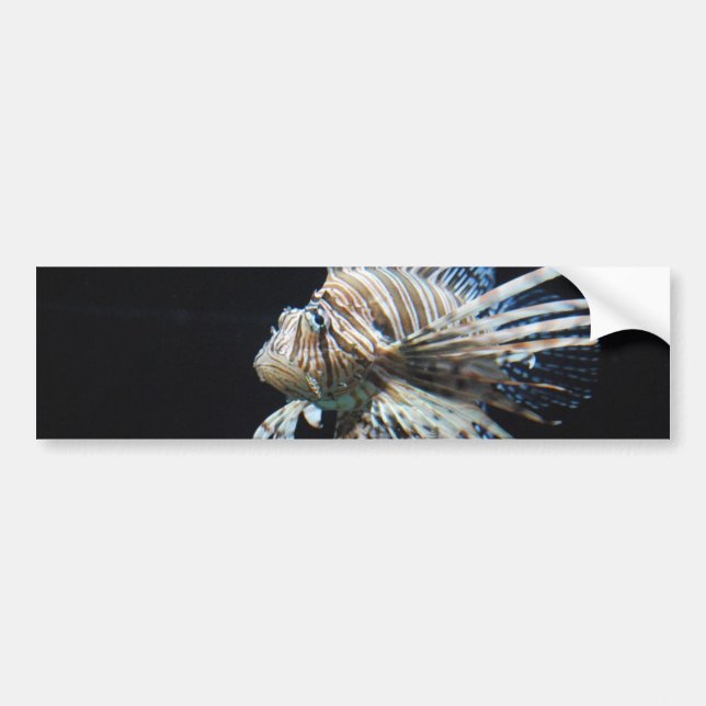 Customise Product Bumper Sticker (Front)