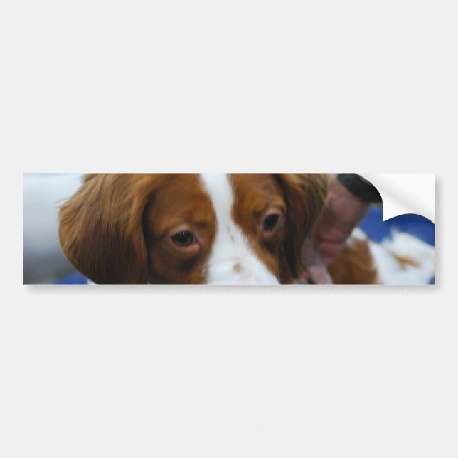 Customise Product Bumper Sticker (Front)