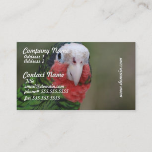 Customise Product Business Card