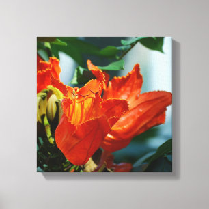 Customise Product Canvas Print