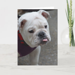 Customise Product Card