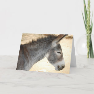 Customise Product Card
