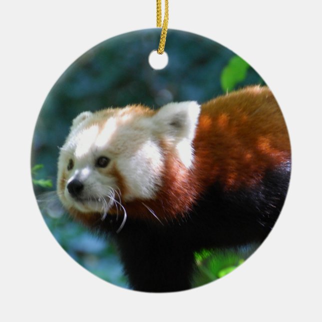 Customise Product Ceramic Tree Decoration (Front)