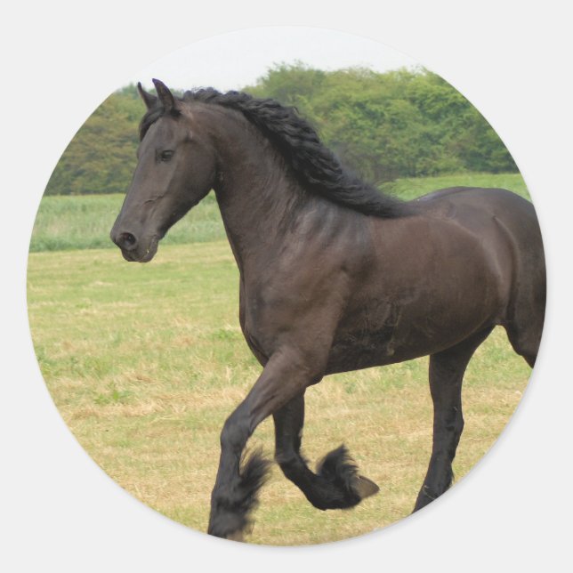 Customise Product Classic Round Sticker (Front)