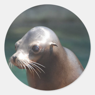 Customise Product Classic Round Sticker