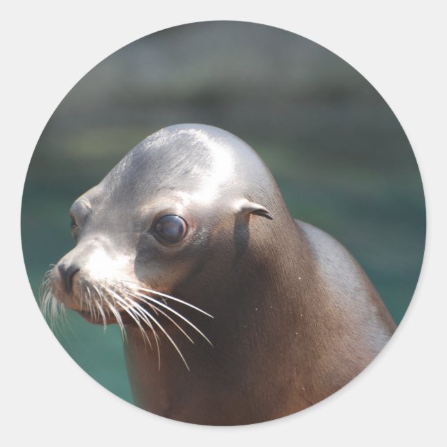 Customise Product Classic Round Sticker (Front)