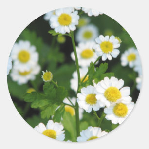 Customise Product Classic Round Sticker