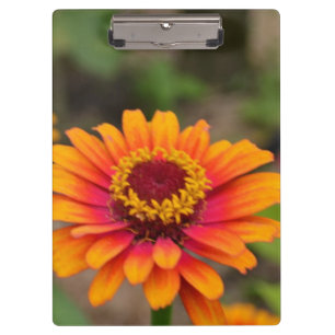 Customise Product Clipboard