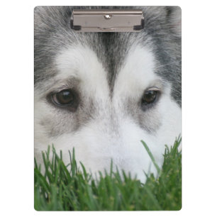 Customise Product Clipboard