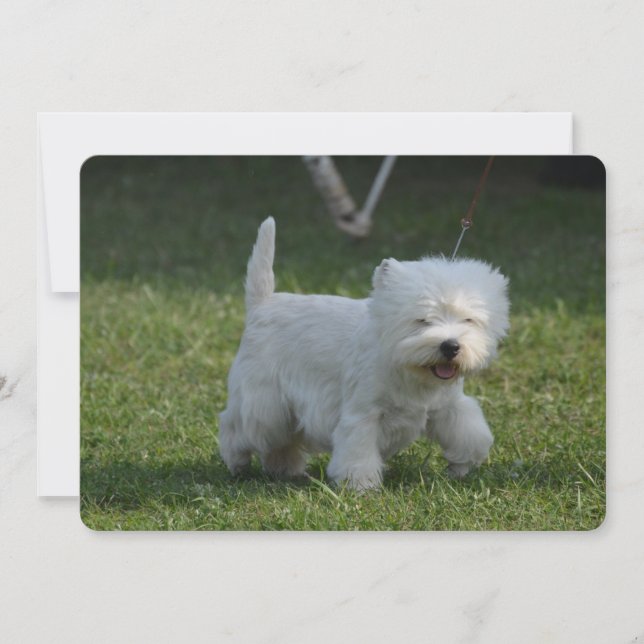 Customise Product Invitation (Front)