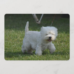 Customise Product Invitation