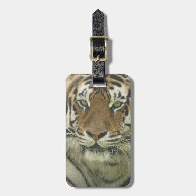 Customise Product Luggage Tag (Front Vertical)