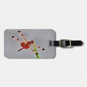 Customise Product Luggage Tag