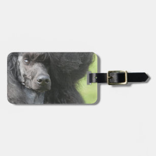 Customise Product Luggage Tag