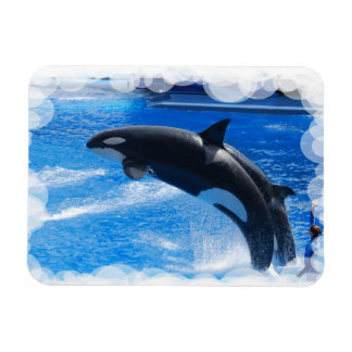 Customise Product Magnet