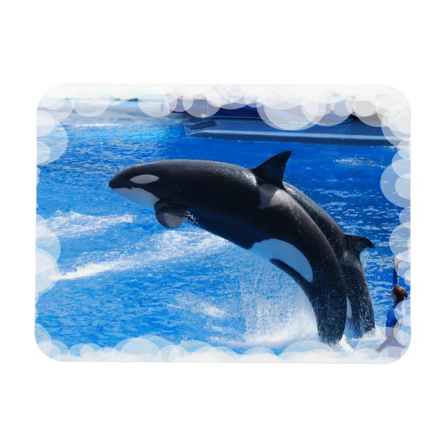 Customise Product Magnet (Horizontal)